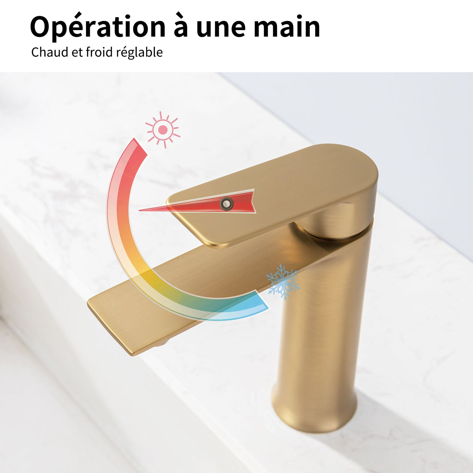 Homelody Mitigeur Lavabo Doré Monocommande – Robinet Salle de Bain en Inox, Température et Débit Réglables