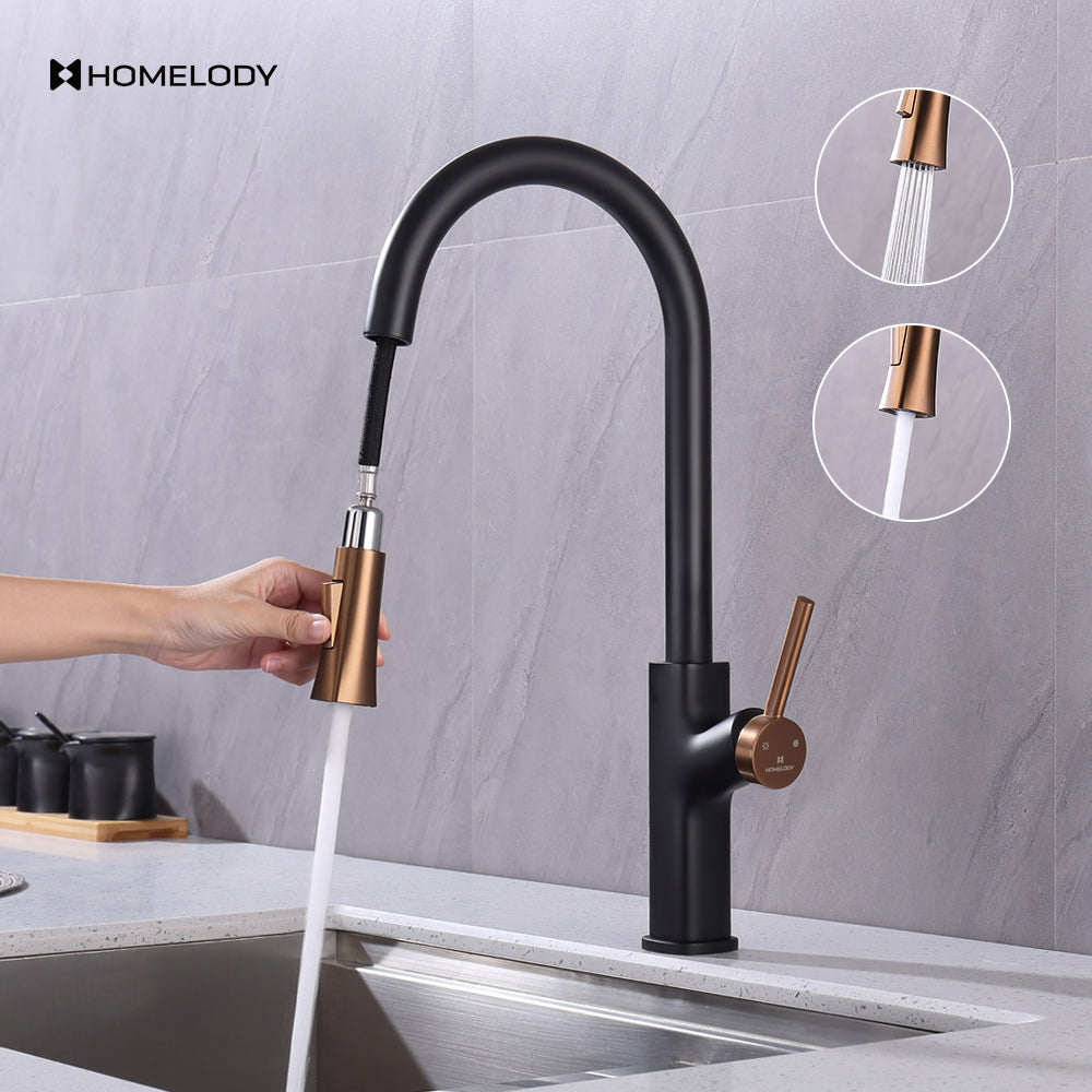 Homelody Robinet Cuisine avec Douchette Extractible, Mitigeur